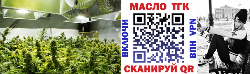 ТГК гашишное масло где купить наркотик Бийск