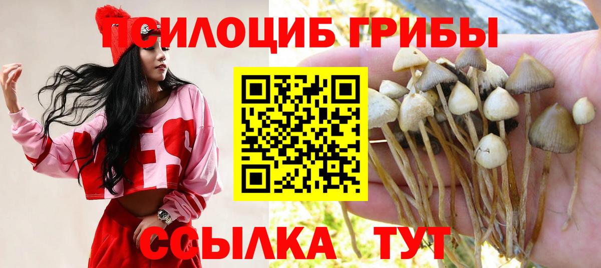 Галлюциногенные грибы ЛСД Бийск