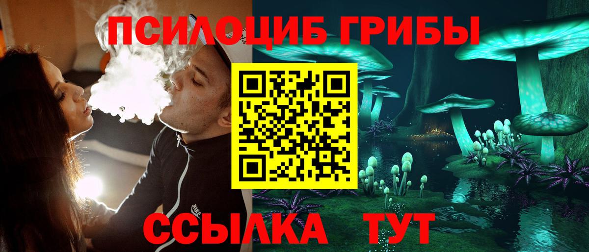 Бийск  Галлюциногенные грибы мицелий  Вход с VPN 